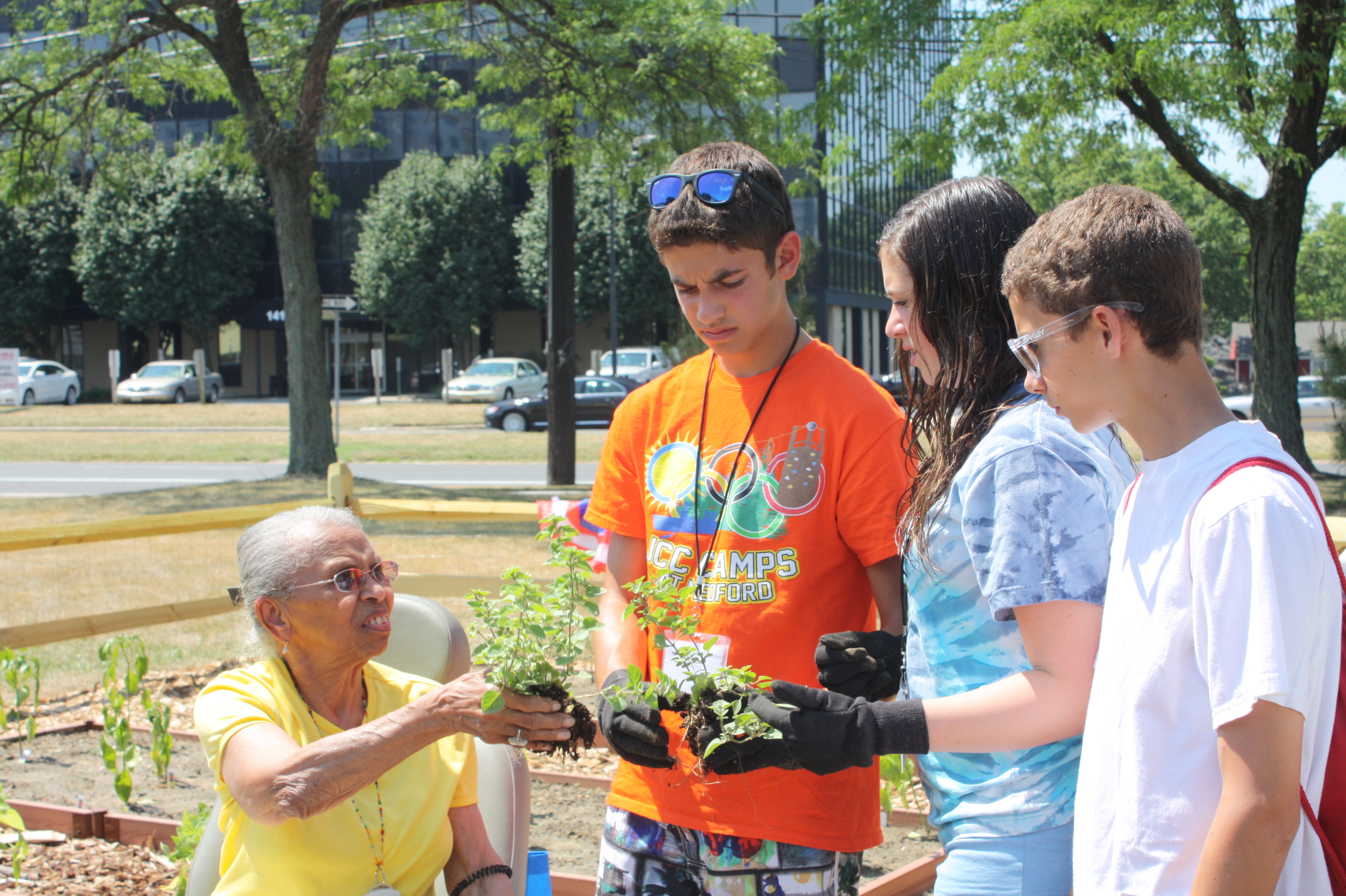Spring Hills gardening 7
